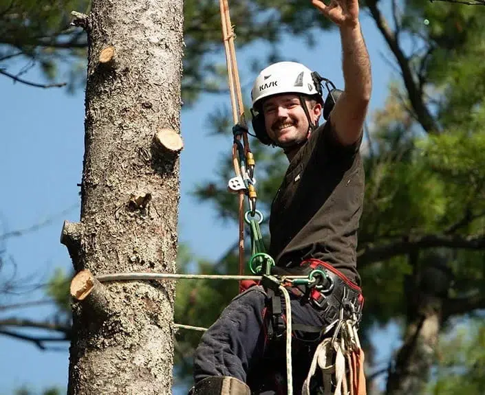 Brent Maw, Owner and Certified Utility Arborist at Horizon Tree Company in Orillia.