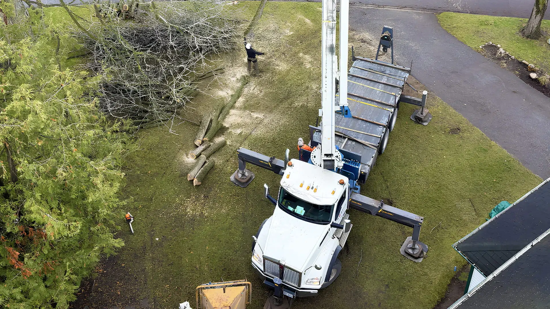 Horizon Tree Company photo 6